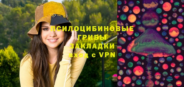 тгк Нязепетровск