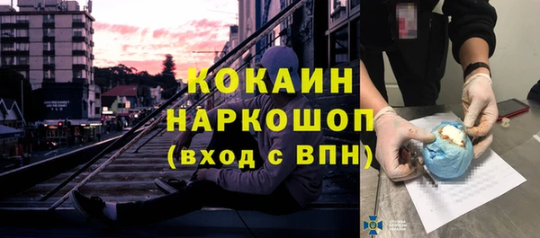 молекула духа Новозыбков