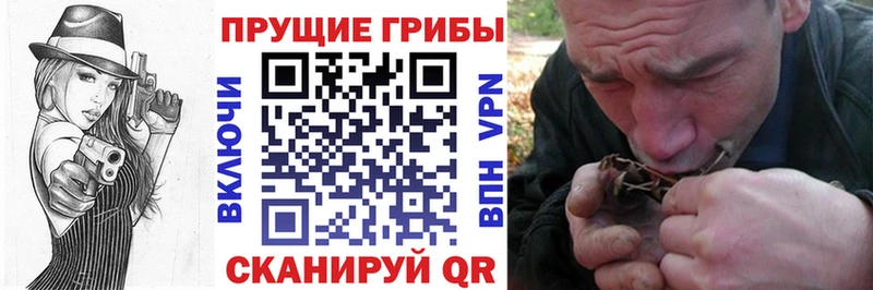 Псилоцибиновые грибы мухоморы даркнет сайт Стрежевой