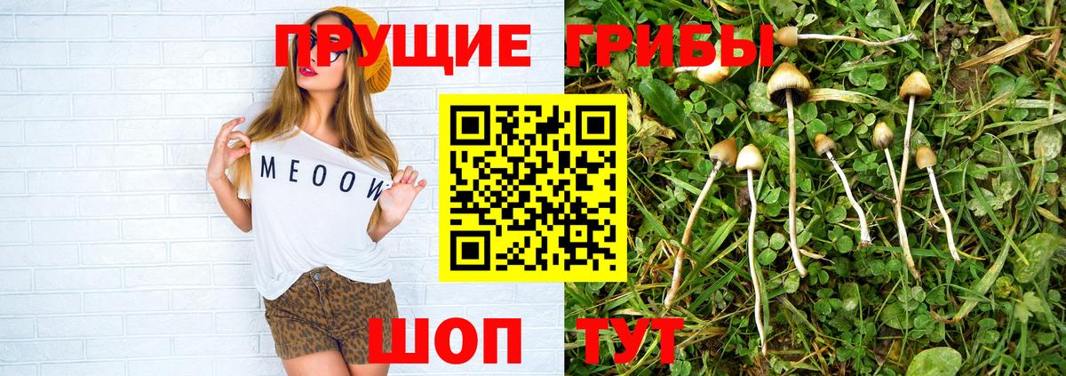 Галлюциногенные грибы мухоморы  Вход с VPN  Стрежевой 